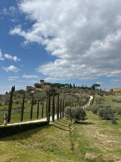 The image depicts a rural landscape near Pienza, Italy, specifically featuring the iconic cypress-lined road leading to a hilltop estate, possibly Podere Terrapille. The scene is dominated by a long, winding, unpaved road flanked by rows of tall, slender cypress trees that recede into the distance. The road curves uphill towards a complex of traditional reddish-brown buildings on a prominent hill in the left background, which includes a distinct square tower.

The sky occupies the upper portion, exhibiting a mix of clear blue areas with scattered white cumulus clouds, particularly on the left, and larger, more diffuse grey cloud cover towards the right. The terrain consists of rolling green hills covered with olive groves and grassy fields. A distinct, low-cut green hedge runs parallel to the road on the left side in the foreground. To the right of the road, olive trees are scattered across the verdant landscape, and a shallow drainage ditch runs horizontally across the lower right section.

In the left foreground, on the grassy verge next to the cypress trees, a lone female individual is visible. She wears a dark green jacket and a long, light brown or beige skirt, standing with her back partially turned to the camera, looking towards the right side of the road. Her right arm is bent, hand near her chest. No other individuals or direct interactions are depicted. The overall impression is one of an agricultural landscape under a partly cloudy sky.