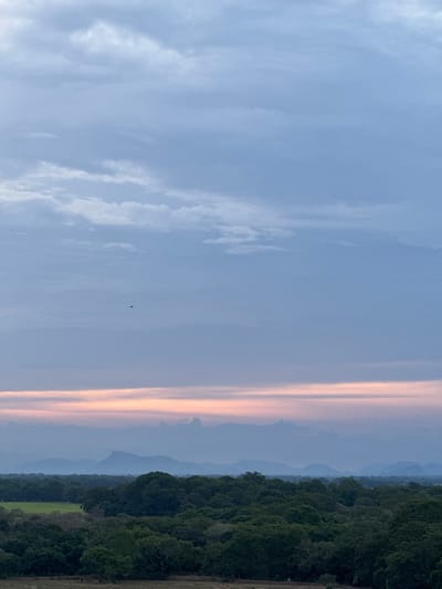 This is a landscape photograph taken at dusk in Shastrawela, Sri Lanka. The image is dominated by a vast, overcast sky with soft, wispy clouds in shades of blue and gray. A faint band of pink and orange light stretches horizontally across the lower portion of the sky, suggesting the setting sun. In the mid-ground, a dense, dark green forest canopy covers the rolling hills. The trees are varied in size and shape, creating a textured, almost impenetrable mass. In the far distance, a series of blue-hued mountains are visible, fading into the hazy atmosphere. The foreground is a rough, dry field or savanna. A single bird is silhouetted against the sky, flying in the upper middle section of the image. The overall mood is serene and tranquil, characteristic of a rural Sri Lankan landscape at the end of the day.