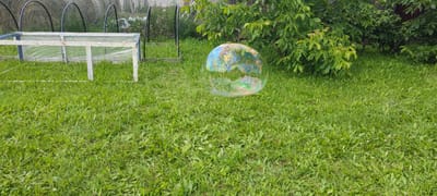 A clear, large bubble floats in the middle of a grassy yard. The bubble reflects the surrounding environment, showing green foliage and blue sky. To the left of the bubble is a structure covered in clear plastic sheeting, supported by a white frame. In the background, there are trees and a wooden fence. The ground is covered in green grass, with some small yellow and pink flowers. This scene is located in the village of Patseykaŭski Sieĺski Savet, Belarus.