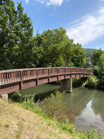 A wooden pedestrian bridge arches over a calm, shallow body of water. The bridge has a dark brown wooden deck and railing, supported by a single concrete pillar in the water and possibly abutments on the banks. The water reflects the surrounding lush greenery and blue sky with scattered white clouds. The banks of the water are lined with dry grass and various green plants, some with small purple flowers. Tall, dense trees dominate the background on either side, with a gently sloping, tree-covered hill visible in the distance on the right. The overall scene depicts a tranquil natural setting within or on the outskirts of the city of Ebermannstadt, Germany.
