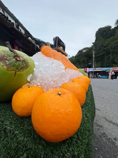 A close-up, low-angle outdoor shot focuses on a display of fresh fruits and beverages at a roadside stall in Tambon Wang Prachan, Thailand. The foreground is dominated by a bright orange, textured rind of a large orange, with more oranges partially visible behind it. To the left, a large, green coconut with a fibrous brown stem sits prominently. Behind the fruit, a pile of crushed ice partially covers several clear plastic bottles filled with a vibrant orange liquid, likely juice. In the background, a weathered stall roof with hanging tarps is visible, with a blurry sign displaying "Eco Travel." Further back, a lush, green hillside covered in dense foliage rises against an overcast sky. A paved road with scattered debris is visible to the right, with two figures, a woman and a child, walking away from the stall. A motorcycle is parked in the middle ground. The overall scene suggests a vibrant, open-air market environment.