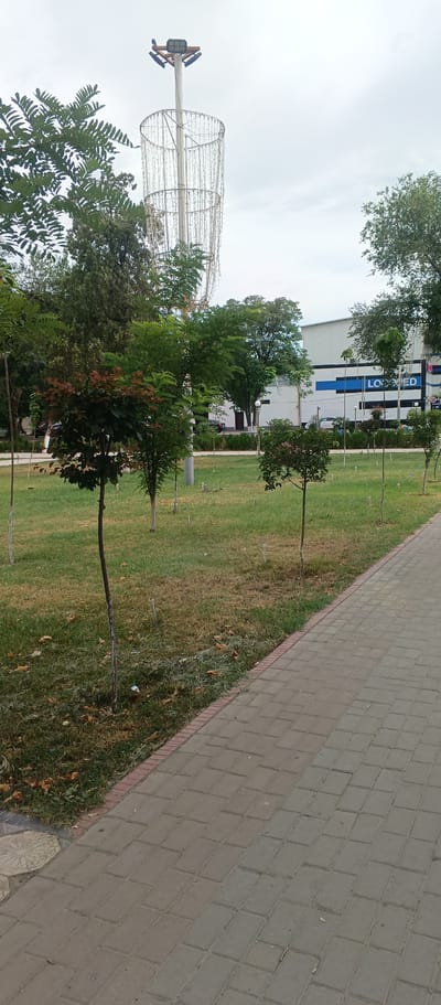 The image depicts a paved walkway in a park-like setting in Jizzakh, Uzbekistan. The walkway is constructed of rectangular grey pavers with a red brick border along the grass. The grass is mostly green with some patches of drier, yellowed grass and scattered fallen leaves. Several small, slender trees with sparse foliage are planted in the grassy area. In the background, a tall white pole supports a large, cylindrical structure adorned with numerous small lights, suggesting it might be a decorative light fixture or part of a festive display. Beyond the trees and the light structure, a modern building with a white facade and dark blue accents is visible, with the word "LOGOPED" clearly displayed in blue letters. The sky is overcast with a pale grey hue. There are no people visible in the image.