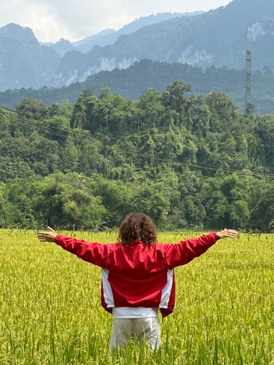 The image, taken in a portrait orientation, captures a person standing in a vibrant green and yellow field, likely a rice paddy, with their back to the viewer. The individual has curly, dark hair and is wearing a red and white windbreaker jacket over light-colored pants. Both arms are outstretched, with hands open, suggesting a gesture of embracing the surroundings or experiencing a moment of freedom.
The field, rich with maturing crops, dominates the foreground and extends towards the right of the frame. Beyond the field, the midground features a dense expanse of lush green trees covering a series of rolling hills and mountains. Several power lines are visible, stretching horizontally across this forested landscape, with a large metal power pylon positioned on one of the hills. In the background, additional layers of mountains appear progressively lighter and hazier, fading into a pale blue hue, possibly due to atmospheric conditions or distant clouds. The sky, visible in the upper left corner, is bright and clear.
The scene is set during the daytime, likely in the late morning or early afternoon, characterized by bright, natural illumination that casts minimal shadows. The weather appears pleasant, though the distant mountains are somewhat obscured by haze. The combination of rice fields and mountainous terrain, along with the visible power infrastructure, strongly indicates a rural, natural setting, consistent with Ngọc Đường Commune, Vietnam. The person's posture conveys a sense of joy or appreciation for the expansive natural environment. There is no visible text in the image.