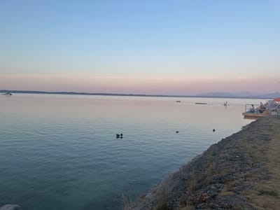 The image captures a serene sunset over Lake Chiemsee in Gstadt am Chiemsee, Germany. The sky transitions from a pale blue at the top to soft hues of pink and lavender near the horizon, where a distant tree line marks the far shore. The water is calm, with gentle ripples reflecting the colors of the sky.

Several individuals are visible enjoying the evening. On a wooden pier in the foreground, a group of people are seated and lounging, some appearing to be engaged in conversation. Further out on the lake, a person stands on a paddleboard. There are also a few small boats and buoys scattered across the water.

In the middle ground, three dark birds, possibly coots, are swimming on the water. A rocky embankment covered in dry grass forms the right edge of the frame, suggesting the viewpoint is from the shore. The overall atmosphere is peaceful and tranquil, indicative of a late summer evening.