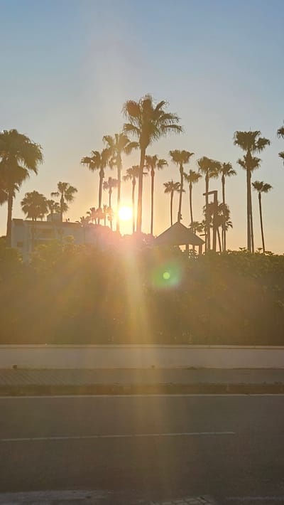 A vertical, medium shot captures a sunset over a coastal area in Deveses, Spain, with the sun low in the sky, casting a warm, golden light and lens flare across the scene. The foreground features a paved road with white lines, leading into a textured sidewalk and a low wall. Behind the wall is a dense hedge of green foliage, partially obscured by the intense sunlight. Silhouetted against the sky are numerous palm trees of varying heights, their fronds creating a textured backdrop. In the mid-ground, a white building with multiple balconies is visible, nestled amongst the trees. To the right of the building, a small, open-sided gazebo with a hexagonal roof stands amidst the vegetation. The sky is a clear, pale blue, transitioning to a soft yellow-orange hue near the horizon where the sun is setting. The overall impression is one of a tranquil, warm evening in a resort-like setting.
