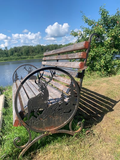 The image shows a wooden park bench with decorative metalwork featuring a deer and pine trees. The bench is situated on a grassy area next to a body of water, likely a river or lake. In the background, a dense forest lines the far bank of the water, under a bright blue sky with scattered white clouds. To the right of the bench, a tree laden with small fruits, possibly apples or berries, is visible. The scene is bathed in sunlight, casting shadows from the bench onto the dry grass. The location is identified as Churilovka, Russia. There are no people or animals present in the image.