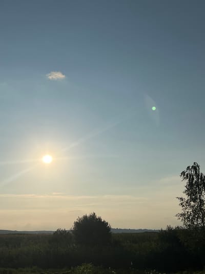 The image depicts a natural scene with a bright sun shining in a clear blue sky. The sun appears as a bright, almost white circle with radiating beams of light. A single, small white cloud is visible in the sky to the left of the sun. The sky transitions to a lighter, yellowish hue towards the horizon, where a distant, hazy landscape can be seen. The foreground is dominated by dense, dark green trees and foliage, forming a natural border along the right side of the image. The trees are silhouetted against the sky, with some leaves and branches visible in the upper right corner. The overall impression is that of a serene outdoor landscape, possibly during a warm and sunny day. The time of day appears to be late afternoon or early evening, given the warm glow of the sky. The location is identified as Mylne, Ukraine. There is no visible text in the image.