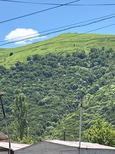 The image depicts a lush, green hillside under a clear blue sky with a few scattered clouds. The hillside is covered in dense trees, with a patch of grassy terrain at the crest. Several power lines stretch across the frame, supported by utility poles, indicating a populated or developed area. In the foreground, the rooflines of several buildings are visible, suggesting structures are situated at the base of the hill. The scene appears to be a natural landscape adjacent to a human settlement.