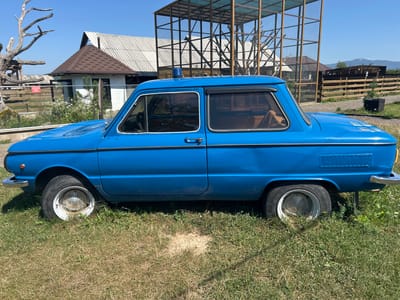 An old, blue, two-door sedan is parked on a grassy area with a blue sky overhead. The car has white-rimmed wheels and is facing to the right. In the background, there is a building with a brown, shingled roof, a large cage structure made of metal and netting, a wooden fence, and trees. The scene appears to be outdoors in a rural or semi-rural location, possibly a park or an animal enclosure, with mountains visible in the distance. The location is identified as Lypcha, Ukraine.