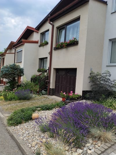 This image shows a residential property in Hluboká nad Vltavou, Czechia. The scene features the exterior of a beige-colored house with a brown roof and dark brown double doors. There are window boxes with red and pink flowers on the facade. In front of the house, there is a well-maintained garden with lavender plants, various other flowering plants, and a decorative arrangement of small stones and larger rocks. A small conifer tree is visible to the left of the entrance. The property appears to be situated on a street or driveway. The sky is overcast, suggesting a cloudy day.