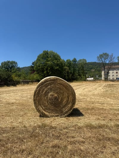 This is a vertical, eye-level, full shot of a hay bale in a field under a clear blue sky in Coteaux du Lizon, France. The hay bale is in the center of the frame, taking up approximately one-third of the image. It is round and appears to be made of dried grass. The field is covered in dry, golden-yellow stubble, indicative of a recently harvested hayfield. In the background, there is a line of trees and a distant hillside covered in greenery. A light-colored, multi-story building with several windows is visible on the right side of the background, situated on the hillside. A dark shadow of the hay bale is cast on the ground to its right. The scene is bathed in bright sunlight.