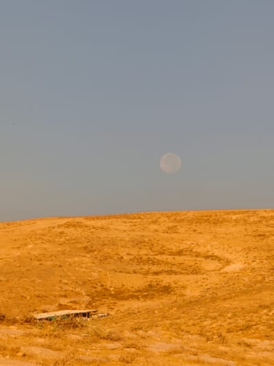 The image depicts a desolate, sun-baked landscape in the city of Keidar, Palestinian Territories. A vast expanse of dry, golden-brown hills dominates the foreground, with sparse, dry vegetation scattered across the terrain. In the mid-ground, a simple, rectangular structure with a light-colored roof and green walls is nestled into the hillside. The structure appears to be a small building, possibly a shelter or dwelling, with some fencing visible. The sky above is a clear, pale blue, and a large, luminous full moon is prominently visible in the upper right quadrant of the frame. The overall impression is one of remoteness and arid conditions.