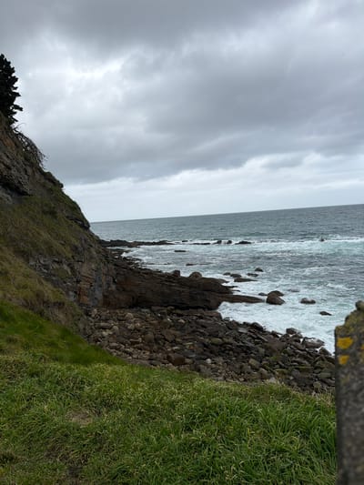 The image displays a rugged coastal landscape in Colunga, Spain, viewed under an overcast sky. A steep cliff, covered in green grass and exposed dark rock formations, occupies the left side of the frame. The upper left corner reveals the dark green foliage of a coniferous tree partially obscured by the cliff. At the base of the cliff, a rocky beach extends into the sea, comprising numerous irregular dark grey and brown stones and boulders. The ocean is characterized by dark blue-green water with white foam from waves breaking against the rocks and shore. The horizon is visible in the upper mid-distance. The sky is uniformly covered with dense, grey clouds. The immediate foreground consists of green grass, and a blurred, dark, textured object, possibly concrete or rock, with patches of yellow lichen, is present on the extreme right edge. No individuals, animals, or specific human activities are visible.