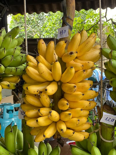 A close-up, eye-level, outdoor shot displays two bunches of bananas hanging. The bunch on the left consists of green, unripe bananas, while the bunch on the right is predominantly yellow, ripe bananas. Both bunches are suspended by ropes attached to a wooden pole. A white paper tag with the handwritten number "130" is affixed to the pole near the yellow bananas. Another similar tag, with "120" written on it, is visible on the right side of the image. In the background, blurred green foliage suggests a tropical or sub-tropical environment. To the lower left, a portion of a light blue gas tank or similar industrial equipment is visible. The scene appears to be a market stall.
