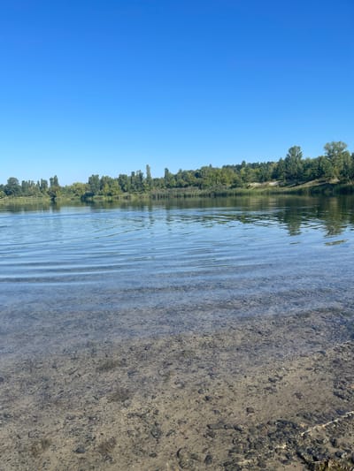 A wide, clear blue sky dominates the upper portion of the image, with a thin strip of trees lining the horizon in the middle ground. The trees are lush green, with a mix of deciduous and coniferous varieties. Below the trees, a body of water stretches across the frame, reflecting the sky and foliage. The water is calm, with gentle ripples visible on the surface. The foreground shows the shallow bottom of the water, which is composed of sand and small pebbles. The scene is serene and natural, suggesting a location by a river or lake.