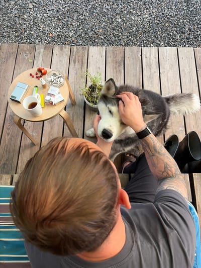 The image captures a close-up, overhead view of a person petting a Siberian Husky dog on a wooden deck. The setting appears to be outdoors, possibly in a backyard or patio area, with a gravel path visible to the left and wooden planks forming the deck. The time of day is likely daytime, suggested by the natural lighting.
The person, whose back is mostly to the camera, has tattoos on their arm and is wearing a grey t-shirt and dark pants. They are reaching down to pet the dog, whose head is resting in their hand, eyes closed, suggesting a relaxed and contented emotion. The Husky has the characteristic black and white markings of the breed.
On a small, round wooden table next to the dog, several objects are arranged. These include a glass ashtray filled with cigarette butts, several packs of Winston cigarettes, a lighter, some small berries (likely strawberries and dried berries), a white mug with dark liquid (presumably coffee or tea), and a small scale. A potted plant is also visible near the dog. In the background, a pair of black rubber boots can be seen.
The overall mood of the image is one of calm and casual interaction between a person and their pet, set against a backdrop of everyday items. The presence of cigarettes and an ashtray might suggest a moment of relaxation or a break. The location context provided is Severka, Russia.