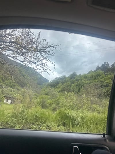 The image shows a view from inside a vehicle, likely a car, looking out the window. The background depicts a rural scene with a hillside covered in green vegetation and trees. A bare tree stands in the foreground to the left. Overhead power lines are visible against a cloudy sky. In the lower-right area of the image, a small building or shack is noticeable. The environment appears to be consistent with a location in Grohotno, Bulgaria, characterized by hilly terrain and natural landscapes.