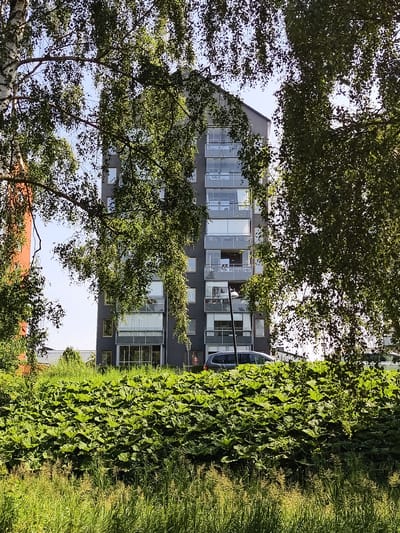 The image captures a modern apartment building in Mjölby, Sweden, partially obscured by the lush foliage of birch trees. The building, with its dark grey facade and numerous glass-enclosed balconies, stands tall against a clear blue sky. A silver car is parked in front of the building, near a street lamp. In the foreground, a dense growth of large, green plants and tall grasses creates a vibrant natural barrier, suggesting a park or a green space adjacent to the urban environment. The scene is bathed in sunlight, casting dappled shadows from the leaves onto the building and the surrounding vegetation. The overall impression is one of a contemporary urban setting integrated with nature.