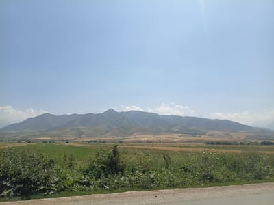 A vast, clear blue sky dominates the upper half of the image. Below the sky, a panoramic view unfolds, featuring a mountain range stretching across the horizon. The mountains exhibit subtle gradations of color, from lighter shades in the distance to darker tones closer to the foreground. The slopes are varied, with some appearing bare and others covered in vegetation.

In the midground, a landscape of rolling hills and agricultural fields is visible. Some fields are a vibrant green, suggesting crops in growth, while others are a golden-brown, indicative of harvested or dry vegetation. Scattered trees and small clusters of buildings are intermittently present within these fields.

The foreground is characterized by a dirt road on the right side of the frame, transitioning into a dense area of green vegetation and wild grasses. This greenery is lush and varied, with different shades of green and various plant types. The overall scene conveys a sense of open, natural landscape with signs of human cultivation. The image appears to be taken on a sunny day, with soft lighting casting subtle shadows. The location is in the vicinity of Süymönkul Chokmorov, Kyrgyzstan.