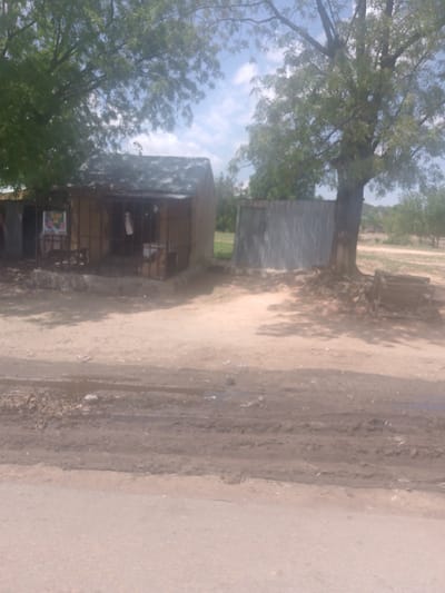 This image depicts an outdoor scene in Lakweme, Nigeria, under a bright, partly cloudy sky.
In the foreground, a paved surface transitions to a wide, unpaved dirt road or track with visible tire imprints and patches of standing water or mud. Scattered debris is present on the unpaved section.
The midground features two primary structures and prominent trees. On the left, a single-story building with walls constructed from an unpainted material, possibly wood or mud brick, is visible. It has a corrugated metal roof and a front facade enclosed by metal bars or caging. A colorful poster is affixed to the left side of the building's front. Interior contents are partially discernible. To the right of this building, a large, mature tree with a thick trunk and dense green foliage stands, casting a shadow. Further to the right of this tree, a secondary structure made of corrugated metal sheeting is present, resembling a small shed or enclosure. Near the base of the large tree, wooden debris lies on the ground.
The background consists of a horizon line with scattered trees and vegetation under a clear to partly cloudy sky. No individuals or animals are visible, and no specific actions or interactions are depicted within the scene.