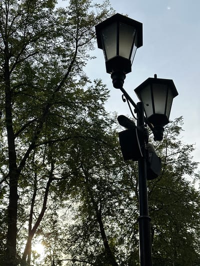 This is a low-angle, outdoor, full shot of a double lamppost against a bright, overcast sky and a canopy of green leaves. The lamppost has two black, hexagonal lamps, one on each side of the pole. The pole is dark and appears to be made of metal. There are some additional attachments on the pole between the lamps, possibly for electrical components or other fixtures. The branches and leaves of a tree fill the right and bottom portions of the image, creating a dense, natural backdrop. The sun is partially visible through the leaves on the right side of the frame, suggesting it is daytime. The sky is pale and washed out, indicating overcast or hazy conditions. The image is sharp and in focus, capturing the textures of the leaves and the details of the lamppost. No people are visible, and no text is present in the image. The scene appears to be a park or a street lined with trees.