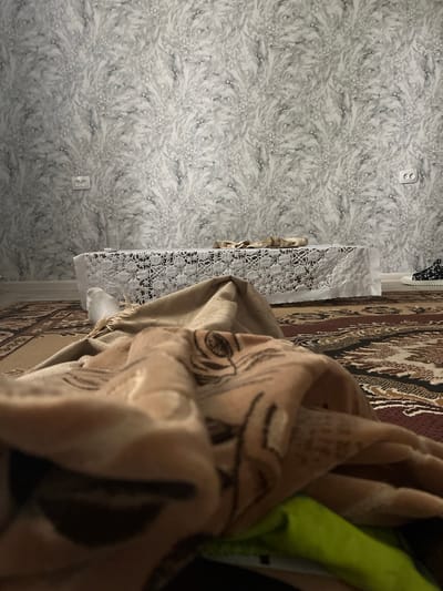 The image depicts an indoor scene, likely a room in a home in Bologoe, Russia. The left side of the frame is dominated by wallpaper with a grey and white marbled pattern. A white electrical outlet is visible on this wall. To the right of the wallpaper, there's a table covered with a white lace tablecloth. On the table, a portion of a rug with a traditional brown and red pattern is visible. In the foreground, a beige blanket or fabric is draped, showing a dark floral pattern. A bright green object is partially visible behind the blanket. The lighting suggests it might be daytime or well-lit indoors. There are no people visible in the image, and no discernible activity is taking place. The focus is on the textures and patterns of the domestic environment.