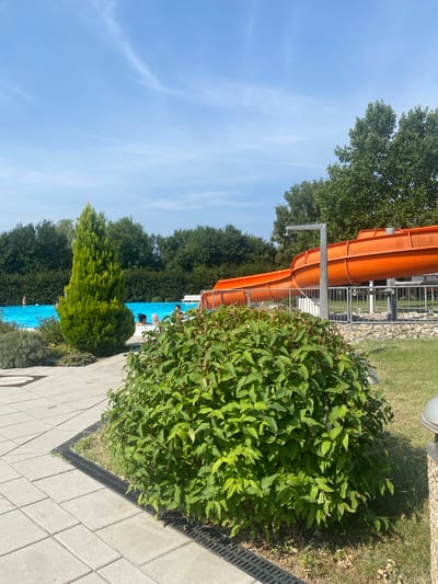 The image depicts a sunny day at a public swimming pool in Deutschkreutz, Austria. A large, bright blue swimming pool occupies the left side of the frame, with several people visible enjoying the water. To the right of the pool, a vibrant orange water slide snakes its way down, with a metal railing surrounding its base. In the foreground, a lush green bush is in full bloom, its leaves catching the sunlight. The ground surrounding the pool is paved with light-colored tiles, and a section of green lawn is visible. The background is filled with mature trees, creating a natural backdrop to the recreational area. The sky above is a clear blue with a few wispy clouds.