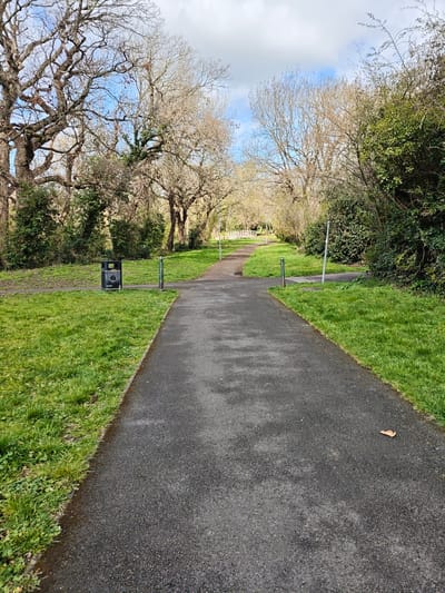 This is an outdoor scene depicting a paved pathway in a park or green space located in Swindon, United Kingdom, observed under a partially cloudy blue sky during daylight hours, consistent with late winter or early spring. The central feature is a dark grey asphalt pathway, approximately 2-3 meters wide, extending from the foreground into the distance and subtly curving.
To the immediate left of the pathway, bright green grass is visible, bordering the asphalt. Further left, a black "Litter" bin with white text is positioned on the grass. Beyond the bin, mature deciduous trees, mostly bare of leaves with gnarled branches, line the area, intermingled with some dark green evergreen shrubs. A dark green metal bollard stands on the grass further along the left side.
To the immediate right of the pathway, similarly bright green grass borders the asphalt. Denser vegetation, including evergreen bushes and bare deciduous trees, with some ivy clinging to branches, forms a border along this side. Another dark green metal bollard is positioned on the grass further along the right side, and a light grey pole, possibly a lamppost, is visible amidst the foliage. A single brown, dried leaf rests on the asphalt path in the lower right foreground.
In the background, the pathway continues, leading towards a light-colored, possibly white, wooden structure, which may be a footbridge over a hidden water feature or depression. Beyond this, more trees are visible. No individuals, animals, or active interactions are present within the scene.