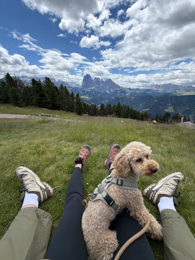 The image captures a person and their dog relaxing on a grassy hillside in the Dolomites, likely near Urtijëi - St. Ulrich in Gröden - Ortisei, Italy. The foreground shows the legs of a person wearing hiking boots, dark leggings, and olive green pants. A light brown poodle-mix dog, wearing a grey harness, rests on the person's lap. The background is a breathtaking vista of rugged mountain peaks under a partly cloudy sky. Dense evergreen forests line the lower slopes, transitioning into rolling hills and the dramatic, jagged peaks of the Dolomites in the distance. The scene conveys a sense of peaceful enjoyment of the mountain landscape.