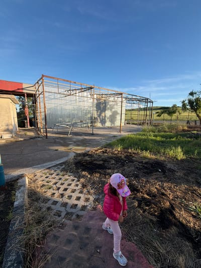 A young girl in a pink jacket, pink leggings, and a pink hat stands on interlocking concrete pavers at the edge of bare dirt and dry grass. To the left of the girl is a concrete walkway and a metal structure with corrugated metal sheeting partially covering the back. In the background, there is a field of grass and a few trees. The sky is blue with light clouds. The scene may be located in Dabnik, Bulgaria.