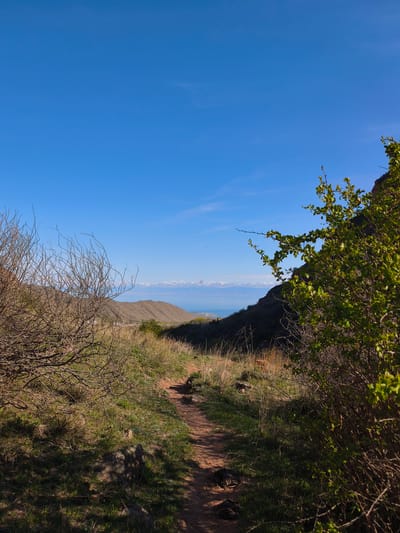 The image shows a dirt path winding through a grassy, hilly area, likely near Cholpon Ata, Kyrgyzstan, given the presence of what appears to be Lake Issyk-Kul and snow-capped mountains in the distance. The path is flanked by vegetation: a dry, bare shrub on the left, and a green, leafy bush on the right. The sky is clear and blue. No people are visible.