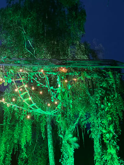 This image depicts an outdoor area at night, located in Sremski Karlovci Municipality, Serbia, characterized by dense, artificially illuminated vegetation. The upper background features a dark blue sky and outlines of large, dark-leafed trees, some with visible trunks illuminated by green light. The dominant features are abundant green foliage, including hanging vines, ferns, and various plant types, which are intensely saturated with green light, likely from directed spotlights. A dark, multi-beamed structure, possibly a pergola or trellis, horizontally spans the upper midground. Strung throughout the vegetation and across this structure are multiple strands of warm-toned string lights, each featuring exposed, round bulbs. In the left-center, a rustic rope ladder with wooden rungs hangs vertically amidst the illuminated greenery. No individuals or dynamic actions are present in the scene.