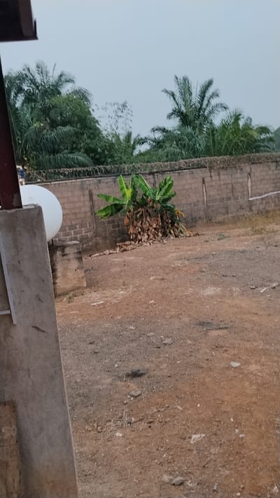 The scene depicts an outdoor, unpaved area in Enyibichiri, Nigeria, under an overcast sky. A concrete pillar with an attached dark-colored metal beam partially frames the left side of the image. Behind this pillar, a white spherical tank rests on a concrete support structure. The ground consists of reddish-brown, dry earth scattered with small rocks and minor debris. In the midground, a cluster of banana plants with green leaves is visible, surrounded by a large accumulation of dried, brown leaves at its base. A light brown concrete block wall, topped with barbed or razor wire, runs horizontally across the background. Behind the wall, dense green tropical vegetation, primarily palm trees, is visible against the light grey sky. No individuals are present in the scene.