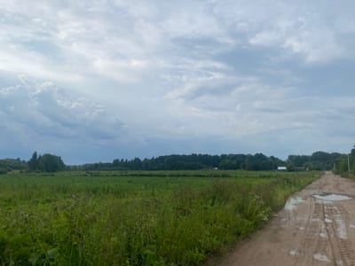 This is a landscape photograph taken on a cloudy day, likely in or near Заволжский, Russia. The foreground features a dirt road with tire tracks and puddles from recent rain, suggesting a rural or semi-rural setting. To the left of the road is a field of tall green grass and wildflowers. In the midground, a dense line of trees forms a treeline against a backdrop of more distant trees. A few scattered buildings, possibly houses or agricultural structures, are visible within or near the treeline. The sky is filled with dramatic, overcast clouds, with some areas of lighter sky peeking through, hinting at potential sunlight breaking through. The overall impression is one of a natural, somewhat uncultivated environment. There are no people or animals visible in the image.