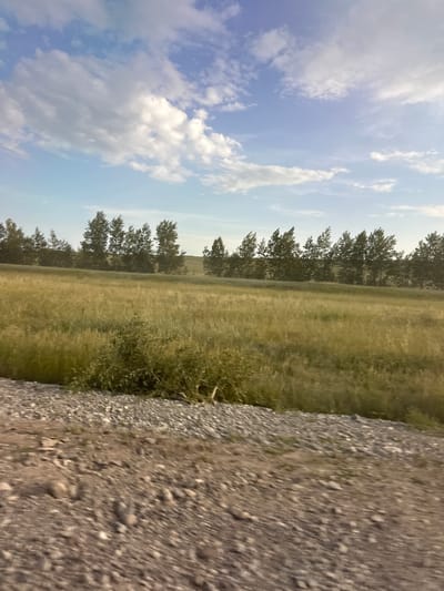 This media file depicts a landscape scene under a partly cloudy sky. The image is oriented vertically, suggesting it may have been taken with a phone or camera held in portrait mode. The foreground is dominated by a gravelly path or area, filled with small to medium-sized stones. To the left of the gravel, a field of tall, dry grass stretches into the distance, appearing golden and illuminated by natural light. A line of trees, mostly dark green, forms a border between the field and the sky. The sky itself is a pale blue, with scattered white clouds, indicating fair weather. The lighting suggests it is daytime, possibly late afternoon or early morning due to the angle of the sun casting a soft glow. There is no visible text in the image. The overall impression is of a rural or natural setting, possibly on the outskirts of a settlement, with elements of both natural terrain and a man-made pathway. The scene conveys a sense of tranquility and open space.