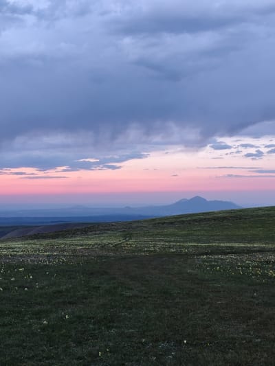 The image depicts a landscape at dusk in an area near Urozhaynyi, Russia. The foreground features a grassy field, sparsely dotted with yellow wildflowers. A subtle path or trail is visible, leading from the bottom of the frame towards the horizon. In the mid-ground, a series of low hills are visible, transitioning into a hazy blue horizon. Distant mountains can be discerned against the pink-tinged sky. The sky is dominated by a mix of grey and purple storm clouds, with a band of pink light along the horizon, suggestive of a setting sun. There are no people or animals visible in the scene.