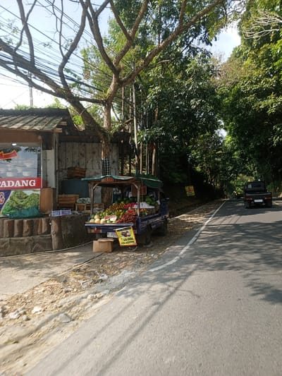 The image depicts a roadside scene. On the left, a small roadside stall displays a variety of fruits, including watermelons, pineapples, and what appear to be rambutans or similar red fruits, arranged in baskets. A blue cart, likely used for selling the produce, is parked next to the stall. Behind the fruit stall, a simple structure with a corrugated roof houses what seems to be a food establishment with a sign that partially reads "PADANG". Wooden crates are stacked near the stall and the structure.

The stall and building are situated on the side of a paved road, which curves to the right and extends into the distance. The road is flanked by dense green trees, forming a canopy over the roadside in places, and casting dappled shadows on the asphalt. In the background, a black pickup truck is driving on the road. A yellow sign with text is visible on the side of the road further down. The ground on the left of the road is unpaved, with scattered debris and dry leaves. The sky is visible through the branches of trees, which are bare in some sections, suggesting it might be a dry season.

The image was captured in the city of Ruwan Eliya, Sri Lanka.