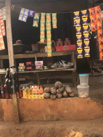 A small roadside shop displays an array of goods. Strings of packaged snacks hang overhead. Shelves hold tinned goods, seasonings, and a plastic container. A stack of coconuts rests beside bottles of cooking oil and soft drinks. Other items wrapped in dark plastic sheeting sit at the bottom of the display. The shop is housed in a simple, possibly clay, structure.