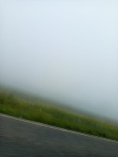 This image depicts a foggy, verdant landscape seen from the perspective of a moving vehicle, likely in Belanitsa, Bulgaria. The scene is dominated by a thick blanket of fog or mist that obscures the horizon and upper portions of the environment, creating a soft, diffused light.

In the foreground, a dark asphalt road cuts diagonally across the lower left of the frame, disappearing into the fog on the right. A faint, lighter line marks the edge of the road, separating it from the adjacent land. Immediately bordering the road is a swath of lush green vegetation, appearing to be grass or low-growing plants, with subtle hints of yellow wildflowers scattered throughout. This green area also extends diagonally across the mid-section of the image, gradually fading into the dense fog. The vegetation exhibits a slight motion blur, indicating the photograph was taken while in transit.

The weather is extremely misty or foggy, limiting visibility significantly. The time of day is not clearly discernible due to the atmospheric conditions, but the soft light suggests it is daytime. No people, animals, buildings, or discernible text are visible in the frame, emphasizing the natural and potentially remote setting. The overall mood is one of quiet isolation and mystery, characteristic of travel through dense fog.