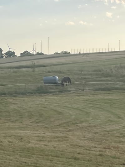The image depicts a rural landscape under a hazy, overcast sky. In the foreground, a mown field shows distinct parallel striations. In the midground, a grassy field with some patches of dry vegetation slopes gently upwards. A white fence runs horizontally across this area. Adjacent to the fence, a grey, cylindrical water tank is visible, and to its right, a dark-colored horse is grazing. In the background, the terrain rises further, with a line of trees on the left and a more distant fence with posts. Several tall, slender structures, likely wind turbines and lampposts, are scattered across the horizon, with one prominent wind turbine on the far left. The overall impression is one of an open, agricultural setting with elements of modern infrastructure. The location is identified as Momberg, Germany.