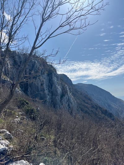 The image displays a rugged mountainous landscape in Vrba, Montenegro, under a clear blue sky. The sky is partially covered by white, ripple-like cirrocumulus clouds, particularly concentrated on the right side. A bright sun glare emanates from the upper left corner, partially obscured by the foreground. A distinct, linear white jet contrail extends diagonally from the upper left sky towards the mid-right.
In the immediate foreground, a bare deciduous tree with numerous dark, leafless branches extends across the upper left and central portions of the frame. The ground in the lower foreground consists of scattered light-colored rocks, dry grasses, and sparse patches of green vegetation.
The midground is dominated by a prominent, steep, light-gray limestone cliff face on the left, characterized by numerous vertical fissures, jagged textures, and shadowed recesses. To the right of this cliff, a densely vegetated slope descends, primarily covered by dormant, leafless trees and shrubs.
In the background, successive layers of darker mountain ranges recede into the distance, appearing hazy. A faint, light-blue sliver of what appears to be a large body of water, likely the sea, is visible on the far right horizon, beneath the distant mountains. No individuals, animals, or human-made structures are visible within the frame.