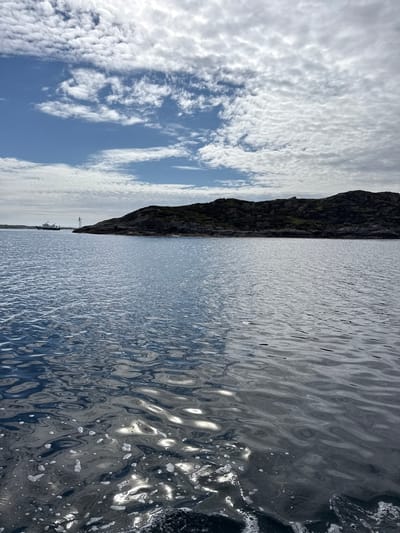 This media file shows a scenic view of the water and sky from a boat, likely near Hellesøy, Norway. The scene is divided into two main sections: the sky and the water.
The sky on the left is a mix of blue and white. There are distinct patches of bright blue sky interspersed with fluffy, white clouds that appear to be in streaks or rippled formations. The light suggests it is daytime, with the sun high enough to create bright clouds.
The right side of the image is dominated by the water, which is choppy and reflects the sky and surrounding environment. The surface of the water is a deep gray and blue, with many areas of shimmering highlights caused by the sun reflecting off the ripples. There are also some areas of white foam or bubbles visible on the right edge, indicating the movement of the boat or wake.
In the distance, a dark, rocky cliff or mountain face runs along the horizon, separating the sky from the water. The texture of the rock appears rough and irregular, with some patches of green vegetation. Further along the coastline, a small boat or ship can be seen docked near the shore, along with what appears to be a mast or crane structure.
The overall impression is one of a bright, somewhat breezy day at sea or on a large body of water, with dramatic natural scenery. The weather appears clear with fair-weather clouds. There is no visible text in the image.