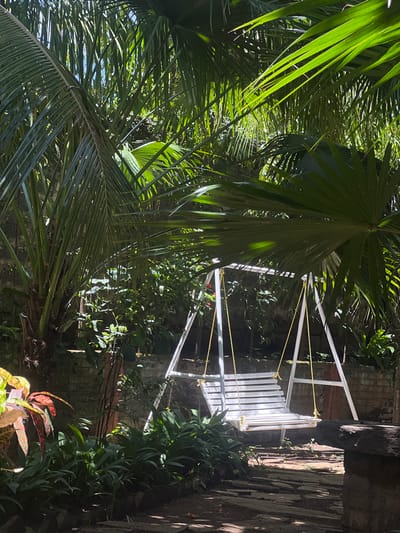 A white, slatted wooden swing hangs from a white metal A-frame in a lush, shaded garden. The swing is suspended by yellow ropes. Large palm fronds and other green foliage are abundant, creating a dense canopy overhead. Sunlight filters through the leaves, casting dappled shadows on the ground. A brick wall is visible in the background. The scene suggests an outdoor seating area, possibly in a private residence or a tranquil public space, located in the city of León, Nicaragua.