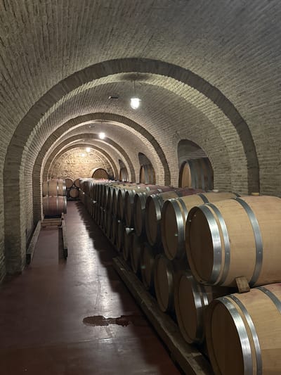 The image shows an interior view of a wine cellar in Mukhrani, Georgia. The cellar features a long, arched corridor constructed from light-colored brick. Rows of large wooden barrels are stored along both sides of the corridor. The barrels are made of light-colored wood and have metal hoops. Some barrels are stacked two high. The floor is a dark reddish-brown color, and there are puddles of liquid on the floor in the foreground. Several industrial-style light fixtures hang from the arched ceiling, illuminating the space. In the background, more barrels and arched openings are visible. The scene is devoid of people.