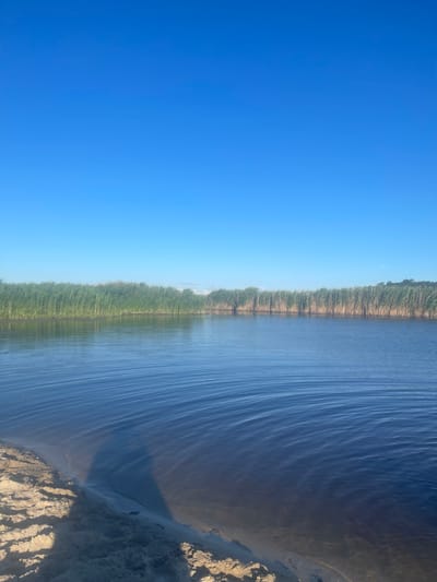 The media file depicts a serene natural landscape under a clear blue sky. The scene is divided into two main sections: the sky and the water. On the left side, a vast expanse of vibrant blue sky dominates, with a subtle gradient suggesting a clear, cloudless day.

The right side of the image features a body of water that appears to be a river or a lake. The water's surface is rippled, creating a pattern of light and shadow that suggests a gentle breeze. Along the far bank of the water, a dense line of green trees forms a natural border, their reflections subtly visible on the water's surface. The trees suggest a wooded area, possibly a forest or a dense growth of vegetation lining the waterway.

At the bottom right of the image, a sandy embankment rises from the water's edge. The embankment is textured, with rough patches and crevices, indicating a natural, uncultivated shoreline. A dark shadow falls across the water and the embankment, cast by an unseen object, possibly a boat or a drone, suggesting the perspective is from a moving vantage point.

The overall impression is one of tranquility and natural beauty. The clear sky and calm water evoke a peaceful atmosphere. The time of day appears to be daylight, possibly late morning or early afternoon, given the brightness and the angle of the shadows. The location cues, such as the trees and the sandy bank, are consistent with a riverside or lakeside setting. There is no visible text in the media file.