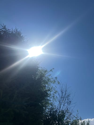 The image shows a clear blue sky with the sun shining brightly and causing lens flare. The sun's rays are visible, radiating outwards from the bright core. In the foreground, the dark green branches of a conifer tree partially obscure the sun, creating a silhouette effect. To the right of the conifer, a lighter green tree with sparser foliage is visible, and further to the right, thin branches with a few leaves are seen against the sky. At the very bottom right of the image, a small portion of a white cloud is visible. The scene appears to be outdoors, possibly in a natural setting given the presence of trees and the clear sky. The location is identified as Karakol, Kyrgyzstan. No people or actions are depicted in the image.
