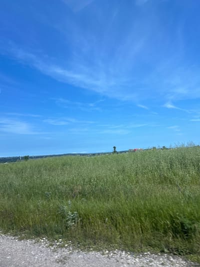 This outdoor landscape photograph, set in Kichevo, Bulgaria, showcases a clear, bright blue sky with scattered, wispy white clouds. The horizon line divides the sky from a broad, green field that dominates the right side of the image, covered in tall grass and various wild plants. Along the far right edge, a gravel or dirt path is visible. In the distance, just above the horizon, a few small trees and some indistinct buildings, including structures with red roofs, can be seen, suggesting a distant settlement or industrial area. A lone, dark green tree stands out closer to the center, silhouetted against the horizon. The scene is captured during bright daylight, likely late morning or early afternoon, under fair weather conditions, evoking a sense of tranquility and openness. There are no people, specific activities, or visible text present in the image.