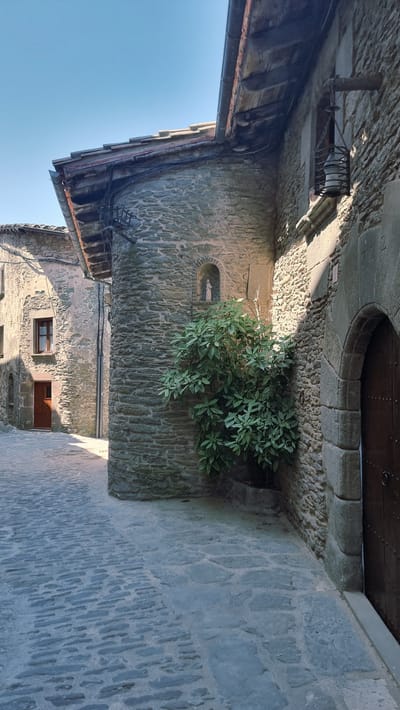 This is a vertical, medium shot of a cobblestone alleyway in the historic town of Rupit, Spain. The street is paved with irregular-shaped, weathered grey stones. On the right, a textured stone building with a dark wooden door is partially visible. Above the door, an arched stone entryway frames the entrance. A rustic, metal lantern hangs from a wooden beam attached to the building's facade. The building's wall is made of large, rough-hewn grey stones, and a small niche carved into the wall contains a white figurine. In front of the niche, a dense, green bush with broad leaves grows. Further down the alley, another stone building with a red-brown door and a window with a brown frame is visible. The sky above is a clear, pale blue. The sunlight casts distinct shadows across the cobblestones and buildings, indicating it is daytime. The scene depicts a quiet, old European street.