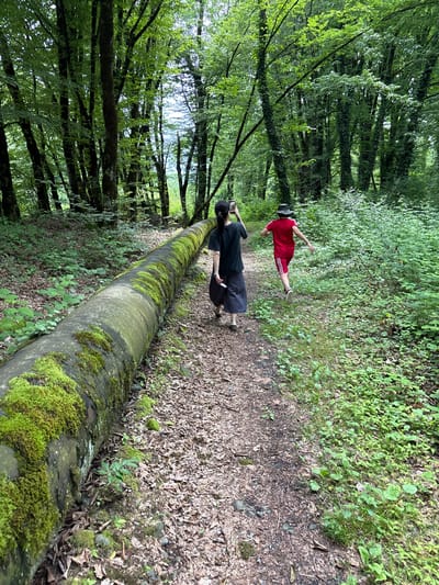 The scene depicts a verdant forest path in Lagodekhi, Georgia. A lengthy, robust pipe, extensively covered in vibrant green moss, stretches along the left edge of a dirt trail, receding into the background. Two individuals are observed from behind, navigating the path. On the left, an adult in a dark t-shirt and dark trousers holds a smartphone in their right hand, seemingly capturing imagery. On the right, a younger person, wearing a red t-shirt, red striped shorts, and a brimmed hat, actively runs ahead. The environment is characterized by dense tree canopies, numerous tall trees, and thick green undergrowth bordering the leaf-strewn path.