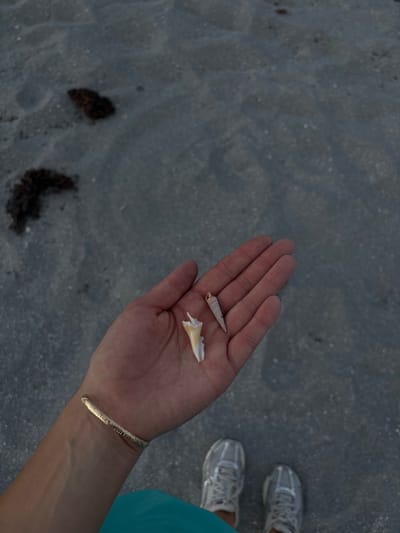 A person's open hand, held low and to the right of the frame, displays two small seashells, one white and pointed, the other conical and textured. The hand, adorned with a golden, intricately patterned bracelet on the wrist, rests against a sandy beach. In the background, the sand is dark and uneven, with scattered dark clumps, possibly seaweed. Two pairs of silver athletic shoes are visible at the bottom of the frame, suggesting the person is wearing them. The overall lighting suggests it might be dusk or dawn. The scene appears to be on a beach in Delray Beach, Florida, United States of America.